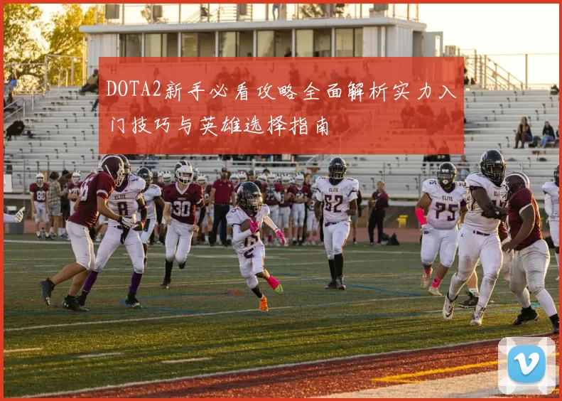 DOTA2新手必看攻略全面解析实力入门技巧与英雄选择指南