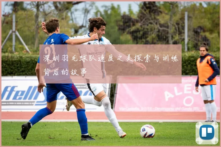 深圳羽毛球队速度之美探索与训练背后的故事
