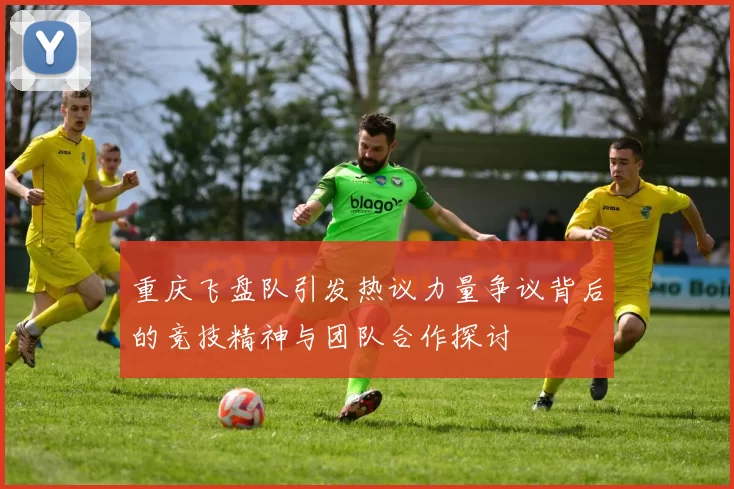 重庆飞盘队引发热议力量争议背后的竞技精神与团队合作探讨