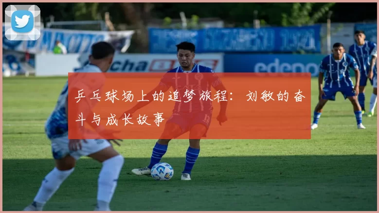 乒乓球场上的追梦旅程：刘敏的奋斗与成长故事