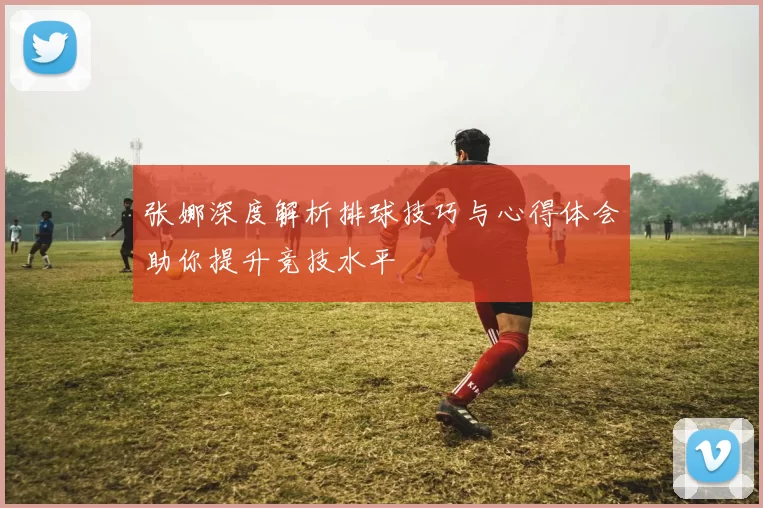 张娜深度解析排球技巧与心得体会助你提升竞技水平