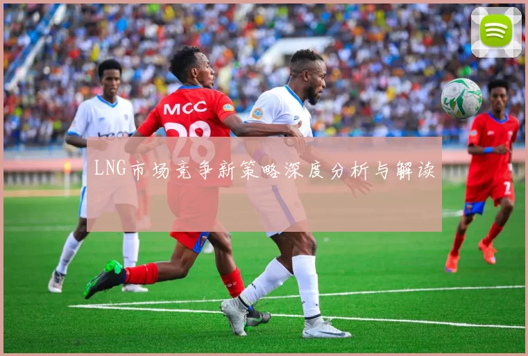 LNG市场竞争新策略深度分析与解读