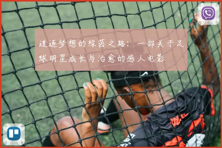 追逐梦想的绿茵之路：一部关于足球明星成长与治愈的感人电影