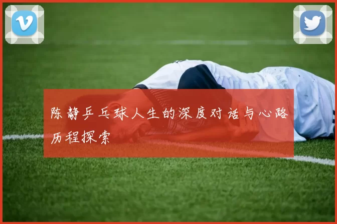 陈静乒乓球人生的深度对话与心路历程探索