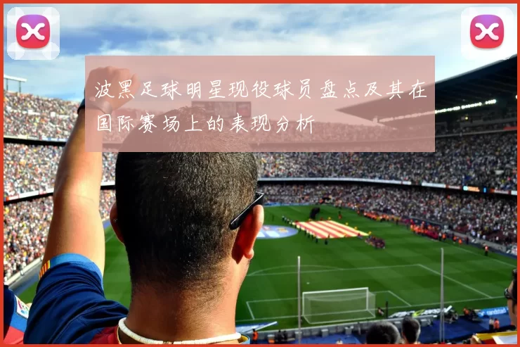 波黑足球明星现役球员盘点及其在国际赛场上的表现分析
